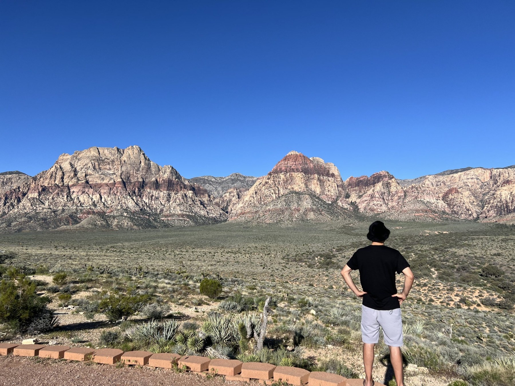 John looking across the desert landscape at Red Rock Canyon